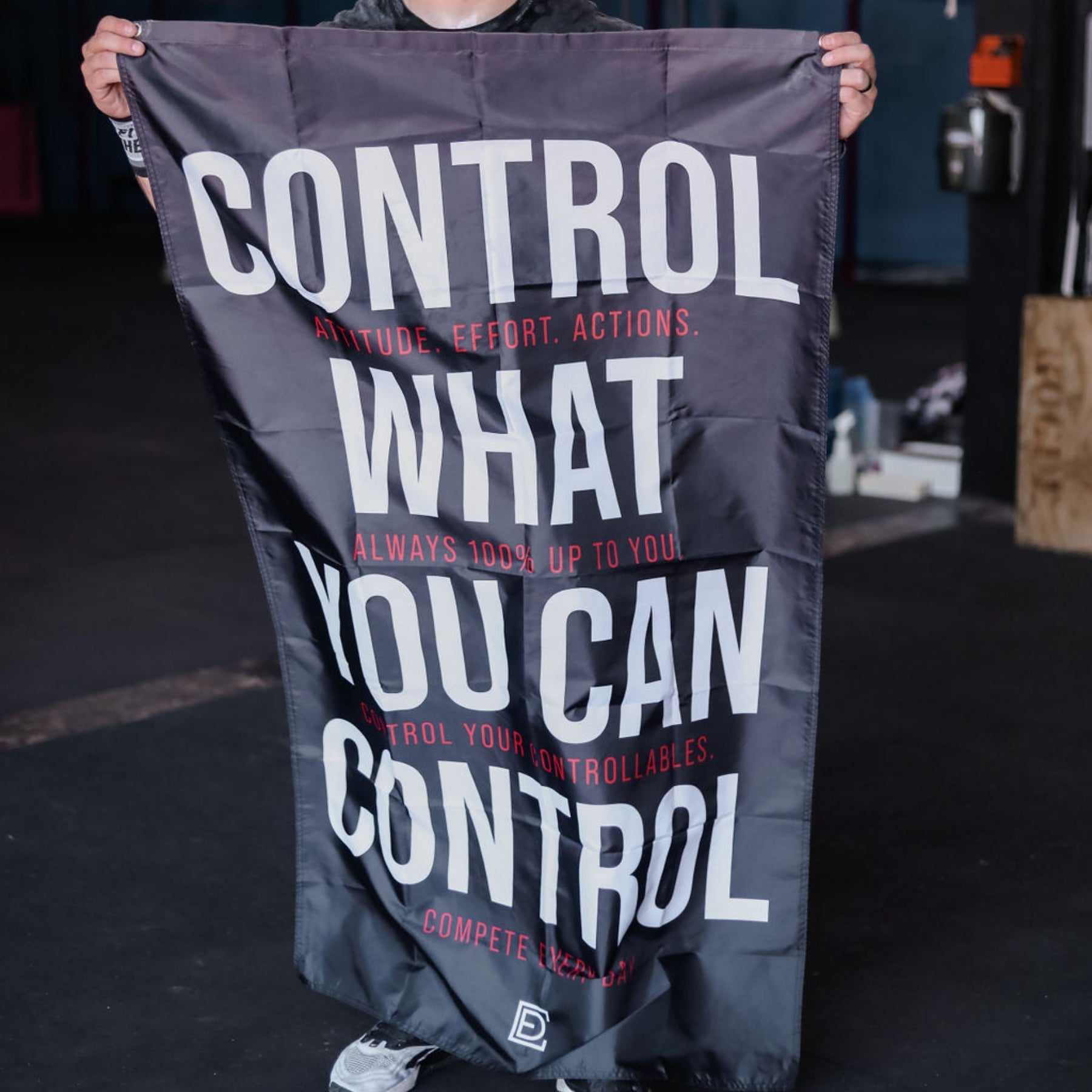 Control the Controllables (Flag)