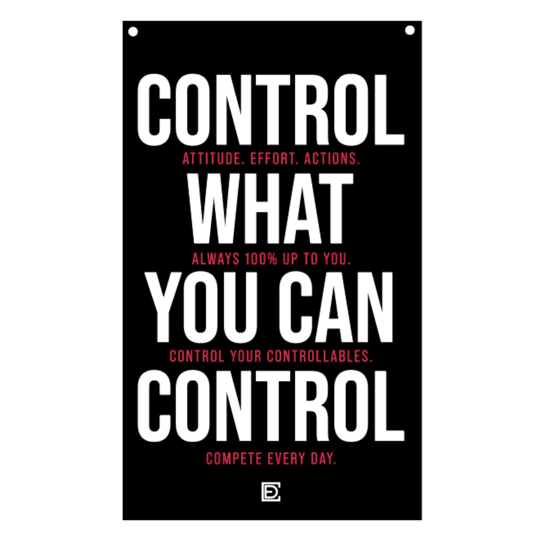 Control the Controllables (Flag)