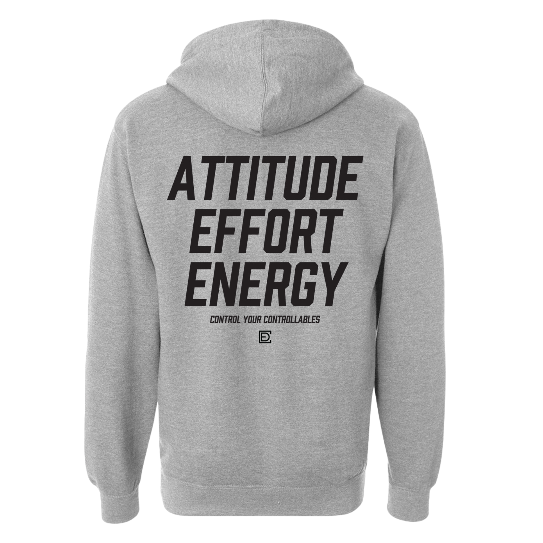 Control the Controllables Grey Hoody