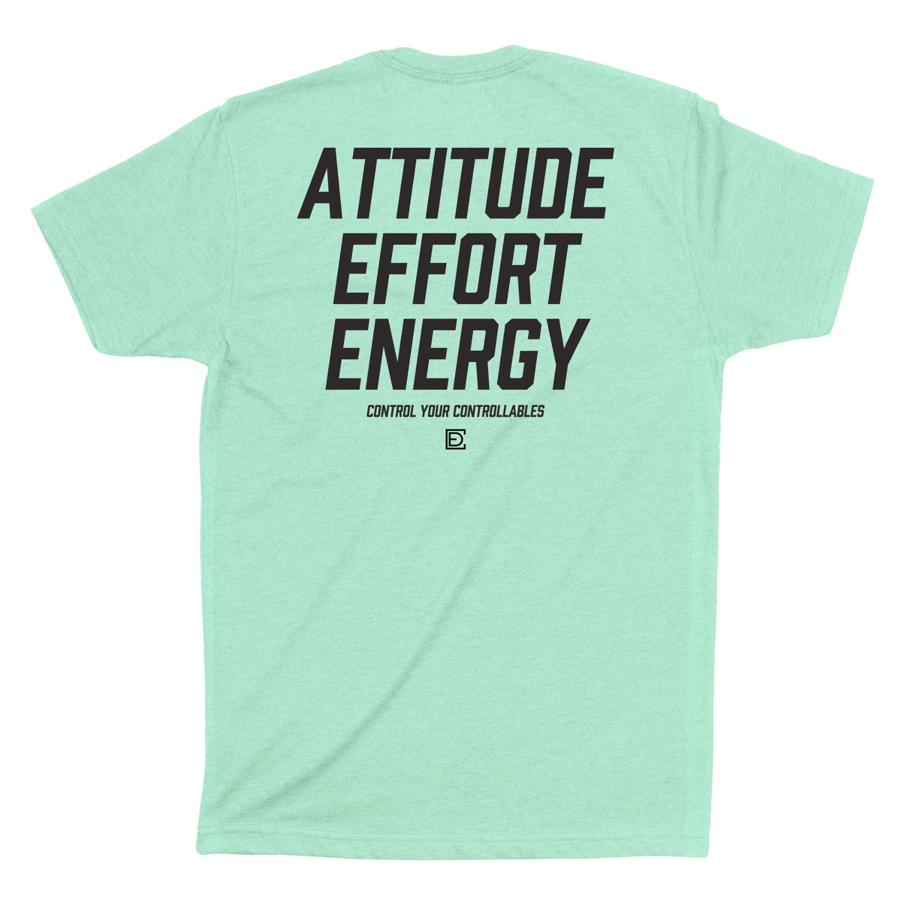 Compete Every Day 100% On You men's t-shirt showing ATTITUDE EFFORT ENERGY graphic on back, available in Mint